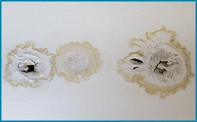 Pembroke Pines Restoration Expert Pembroke Pines, FL 954-526-1438 Pembroke Pines Restoration Expert Pembroke Pines, FL 954-526-1438 - city-img-7