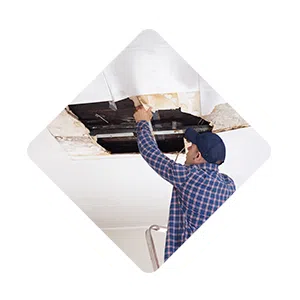 Pembroke Pines Restoration Expert, Pembroke Pines, FL 954-526-1438 Pembroke Pines Restoration Expert, Pembroke Pines, FL 954-526-1438 - sb-ser-01